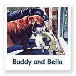 Buddy and Bella