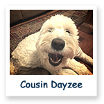 Cousin Dayzee