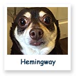 Hemmingway