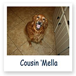 Cousin 'Mella