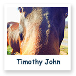 Timothy John