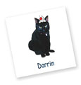 Darrin