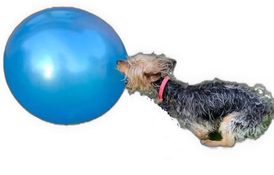blue-ball